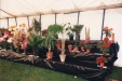 1987_cactus_class
