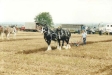 Agricultural Show 2002