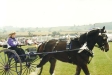 Agricultural Show 2002