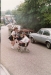 Pram Race - year unknown