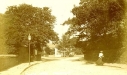 The Village Green