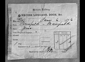 Excess luggage ticket c1876