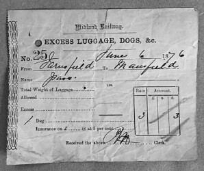 Excess luggage ticket c1876